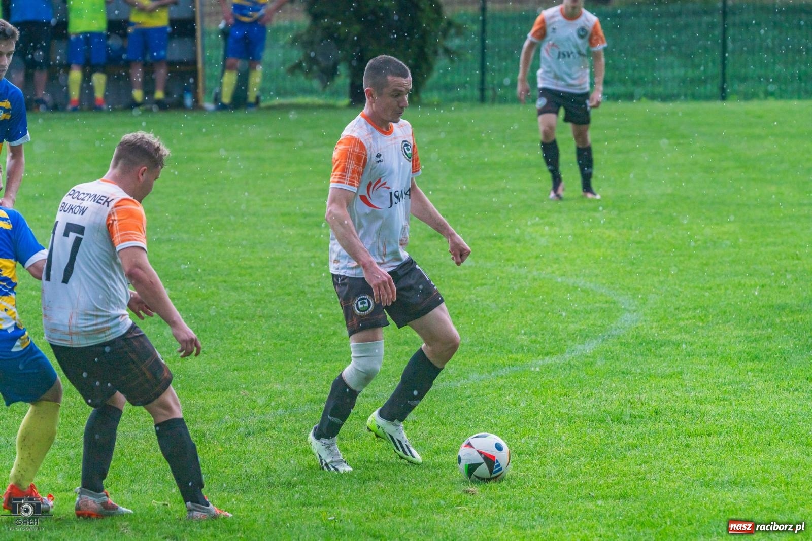 Zdjęcie w galerii na portalu naszraciborz.pl: Gamów – Buków: Strzelił Wilczek razy kilka [FOTO i WIDEO] wiadomości z regionu