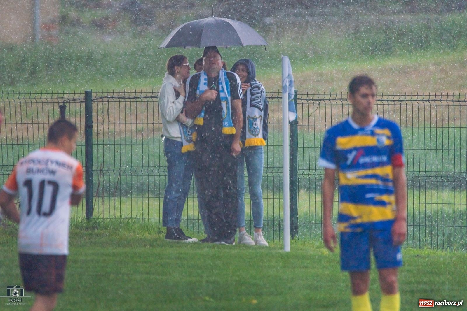 Zdjęcie w galerii na portalu naszraciborz.pl: Gamów – Buków: Strzelił Wilczek razy kilka [FOTO i WIDEO] wiadomości z regionu