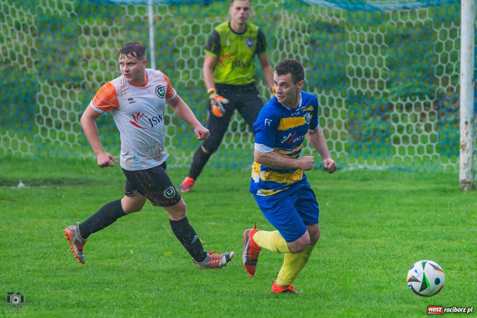 Zdjęcie w galerii na portalu naszraciborz.pl: Gamów – Buków: Strzelił Wilczek razy kilka [FOTO i WIDEO] wiadomości z regionu