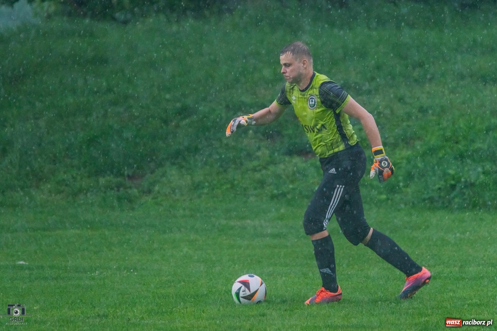 Zdjęcie w galerii na portalu naszraciborz.pl: Gamów – Buków: Strzelił Wilczek razy kilka [FOTO i WIDEO] wiadomości z regionu