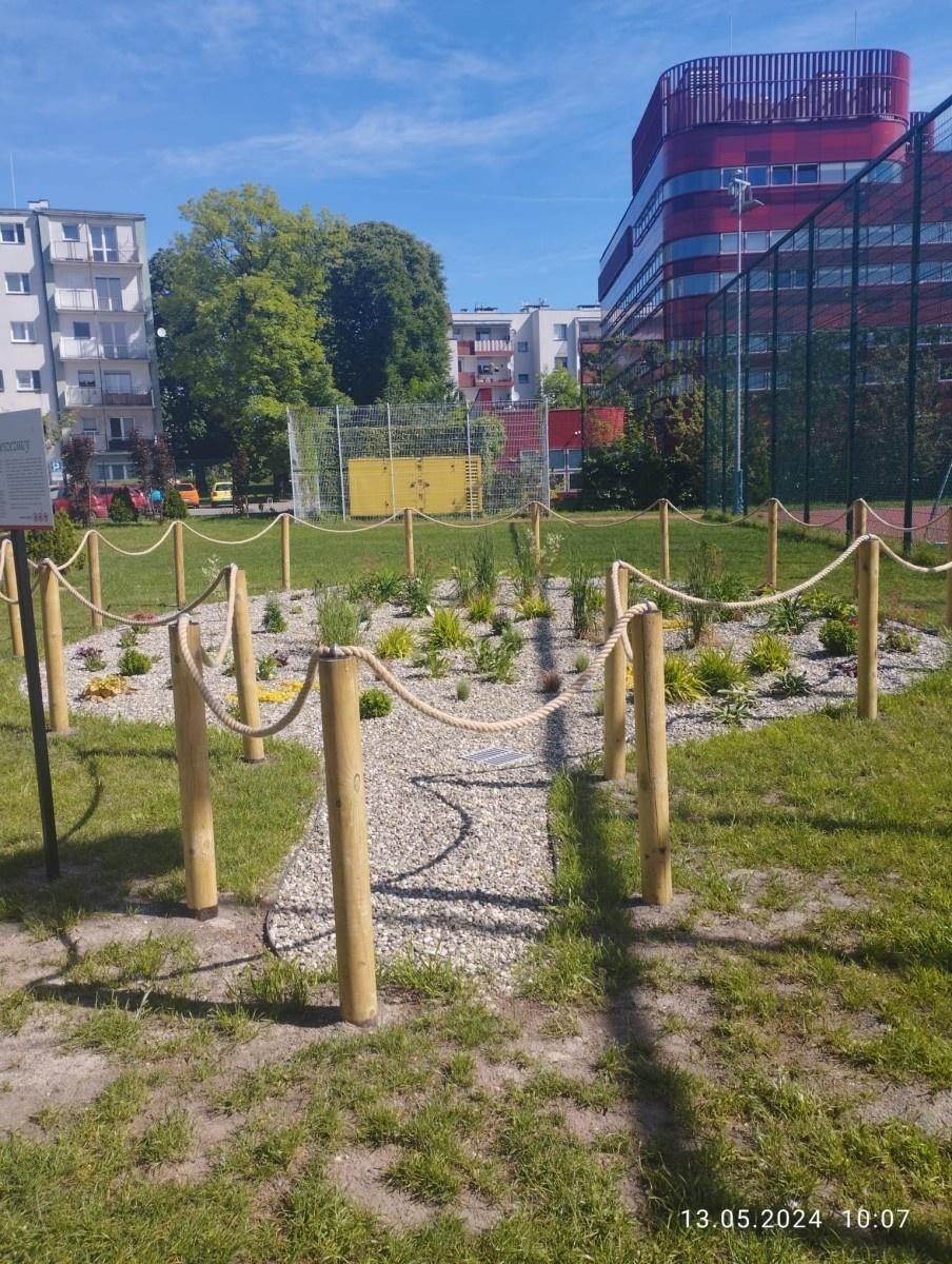 Zdjęcie w galerii na portalu naszraciborz.pl: Tak zmienił się ogród deszczowy przy SP 13 wiadomości z regionu