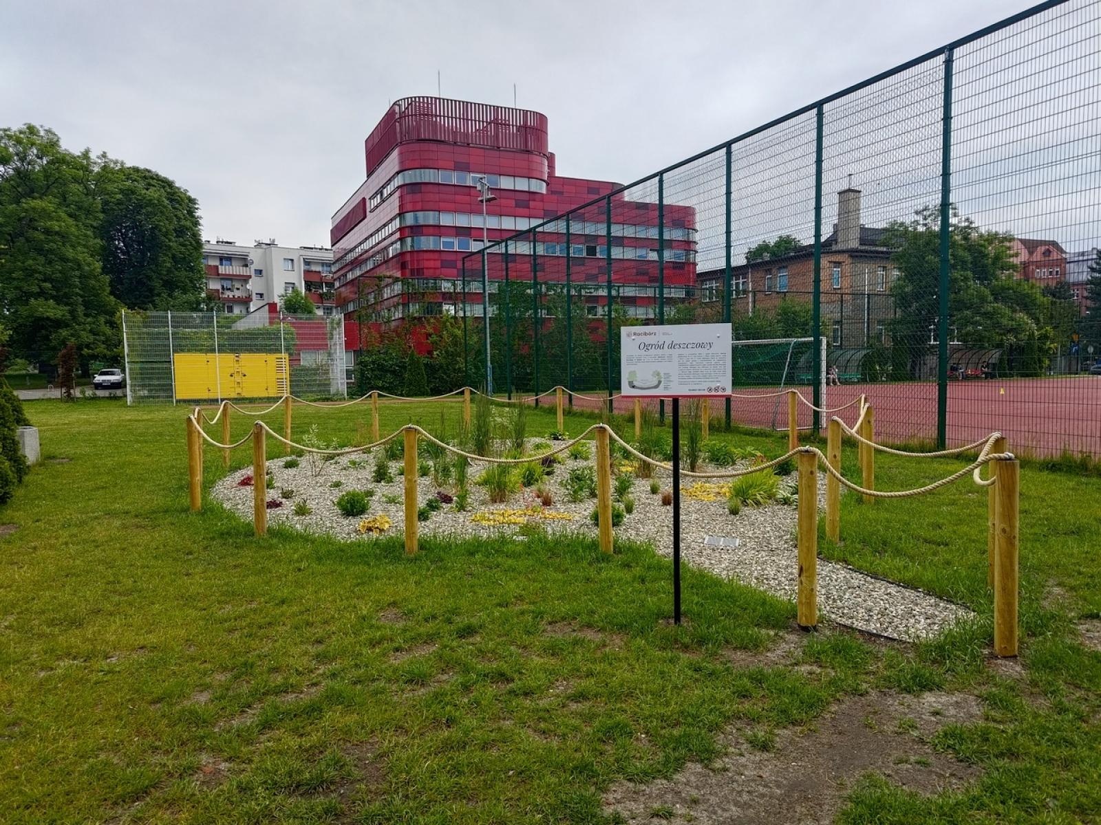 Zdjęcie w galerii na portalu naszraciborz.pl: Tak zmienił się ogród deszczowy przy SP 13 wiadomości z regionu