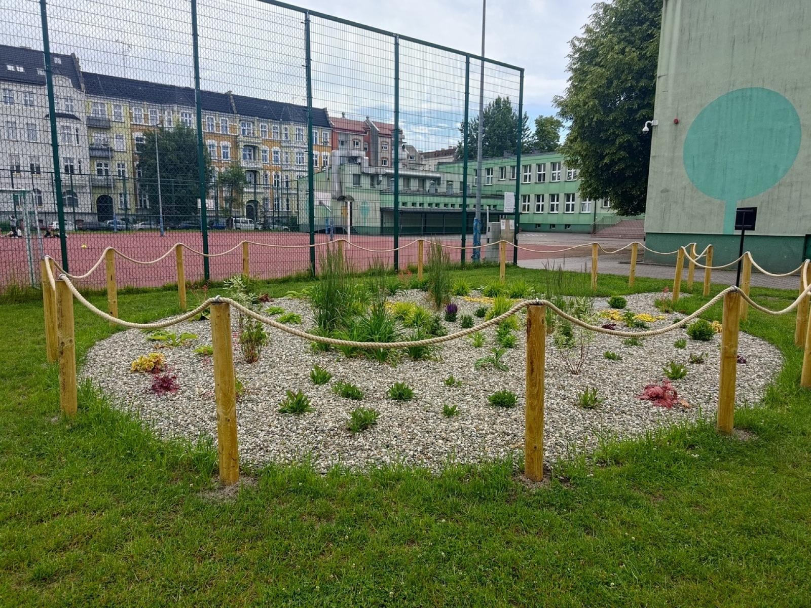 Zdjęcie w galerii na portalu naszraciborz.pl: Tak zmienił się ogród deszczowy przy SP 13 wiadomości z regionu