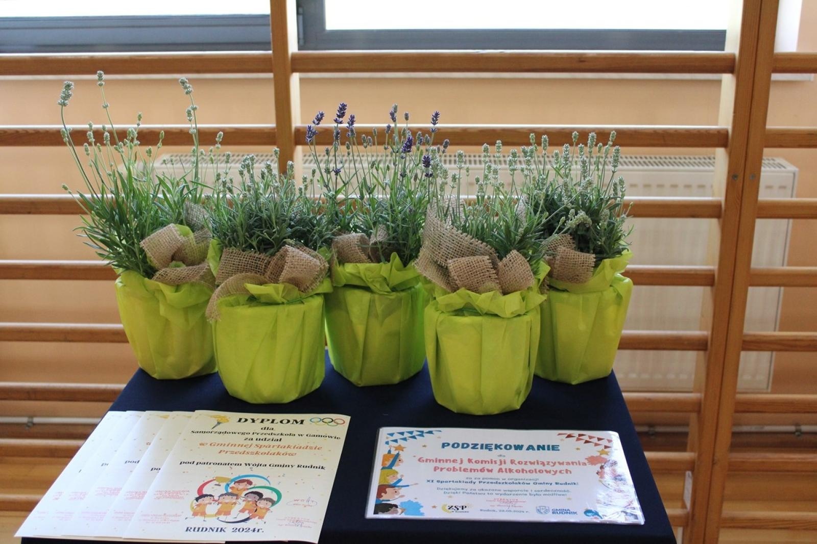 Zdjęcie w galerii na portalu naszraciborz.pl: Rudnicka Spartakiada Przedszkolaków 2024 wiadomości z regionu