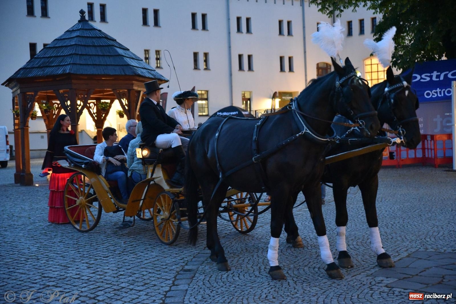 Zdjęcie w galerii na portalu naszraciborz.pl: Zamkowa noc i przejazdy bryczką [FOTO i WIDEO] wiadomości z regionu