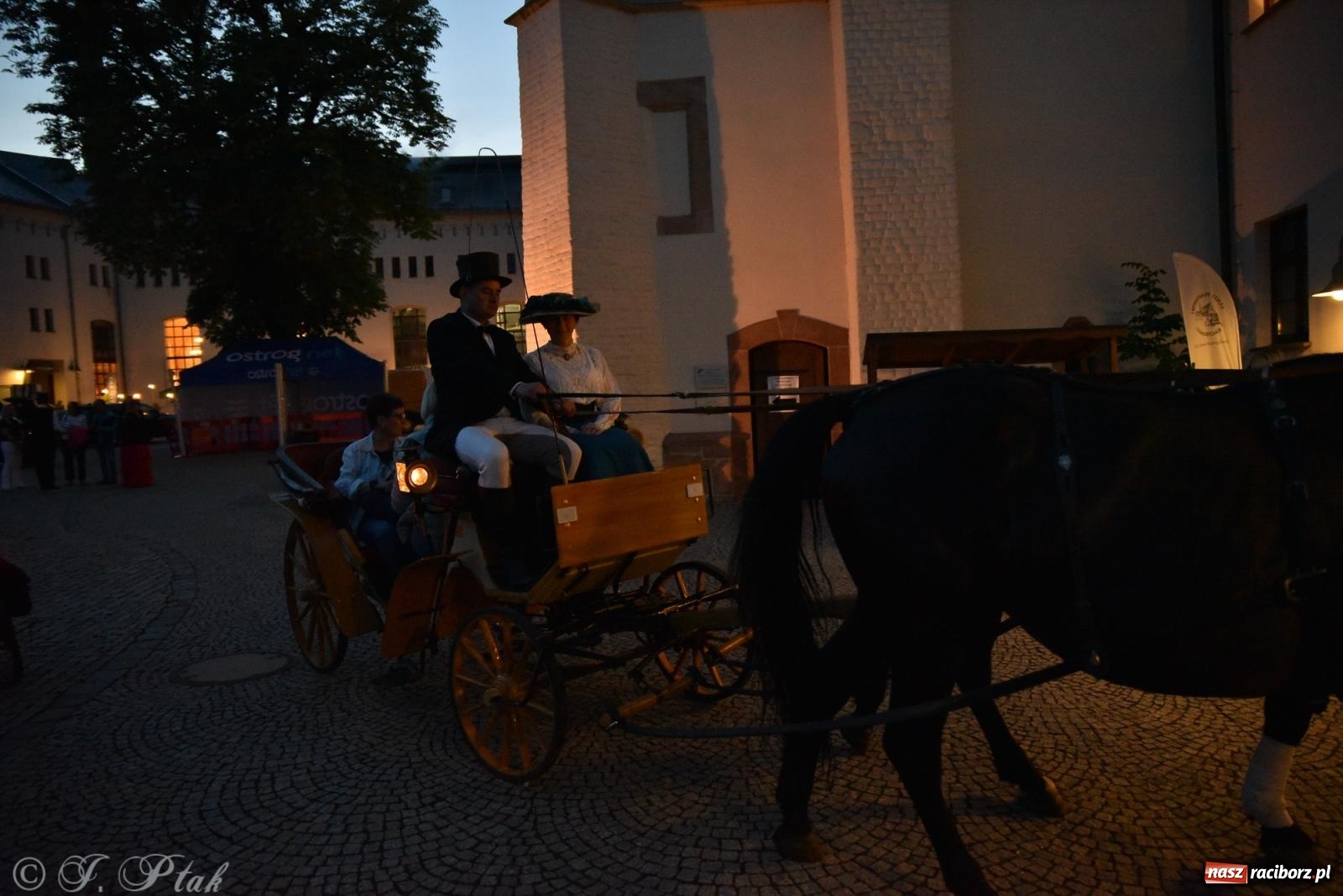 Zdjęcie w galerii na portalu naszraciborz.pl: Zamkowa noc i przejazdy bryczką [FOTO i WIDEO] wiadomości z regionu