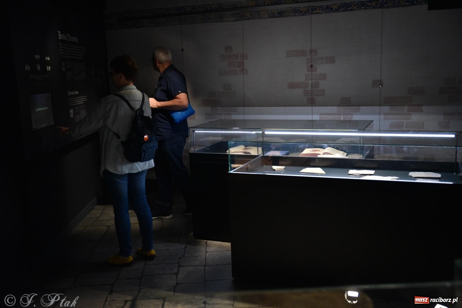 Zdjęcie w galerii na portalu naszraciborz.pl: Zamkowa noc i przejazdy bryczką [FOTO i WIDEO] wiadomości z regionu