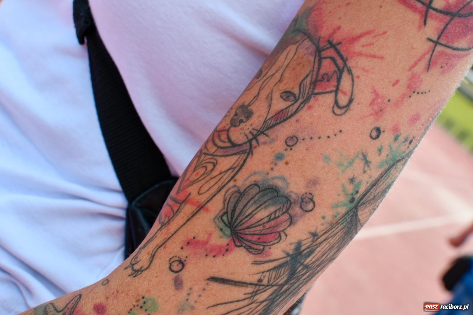 Zdjęcie w galerii na portalu naszraciborz.pl: IX Raciborski Bieg Bez Barier [FOTO i WIDEO] wiadomości z regionu