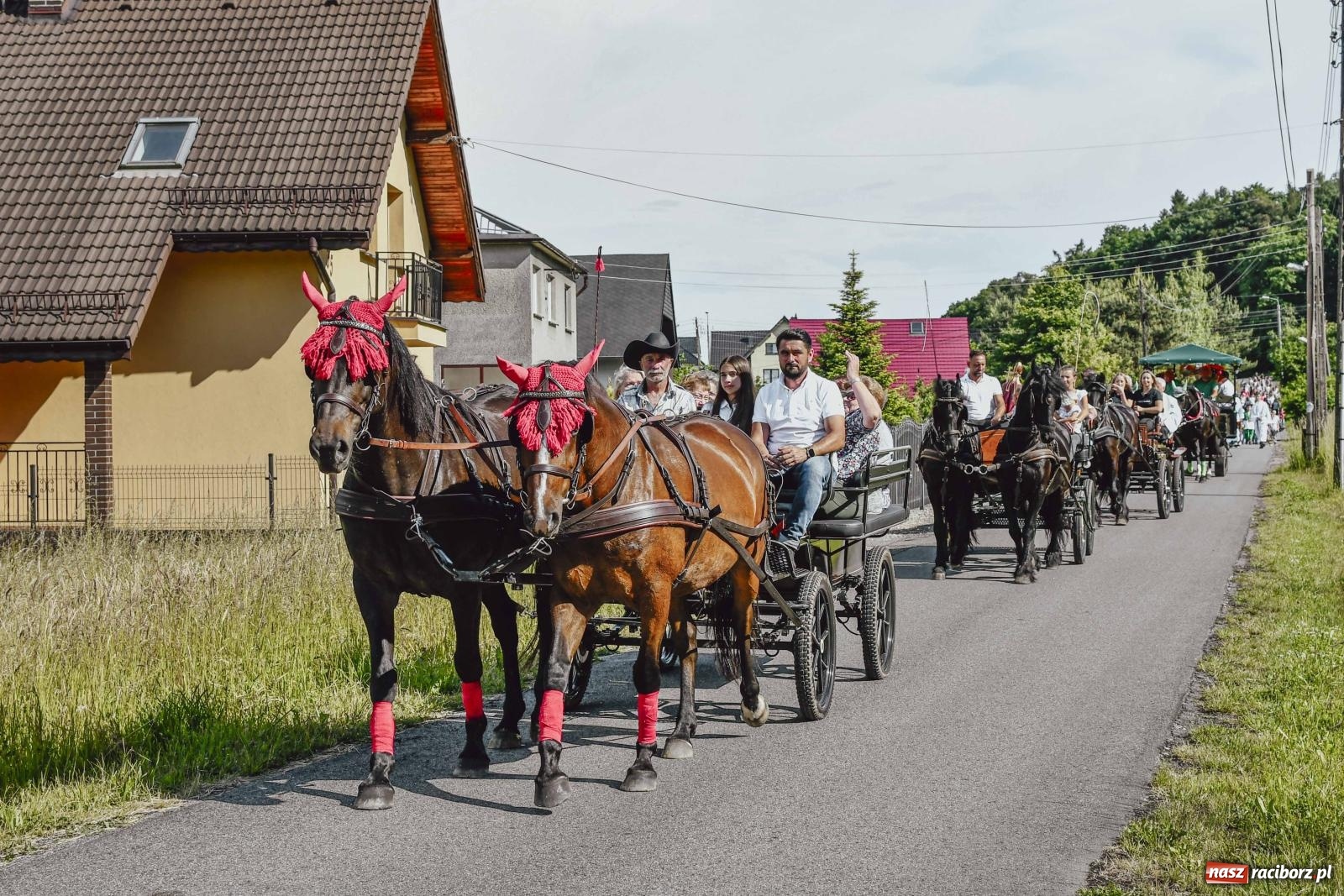 Zdjęcie w galerii na portalu naszraciborz.pl: W Brzeziu dochowali tradycji. Procesja na św. Urbana wiadomości z regionu
