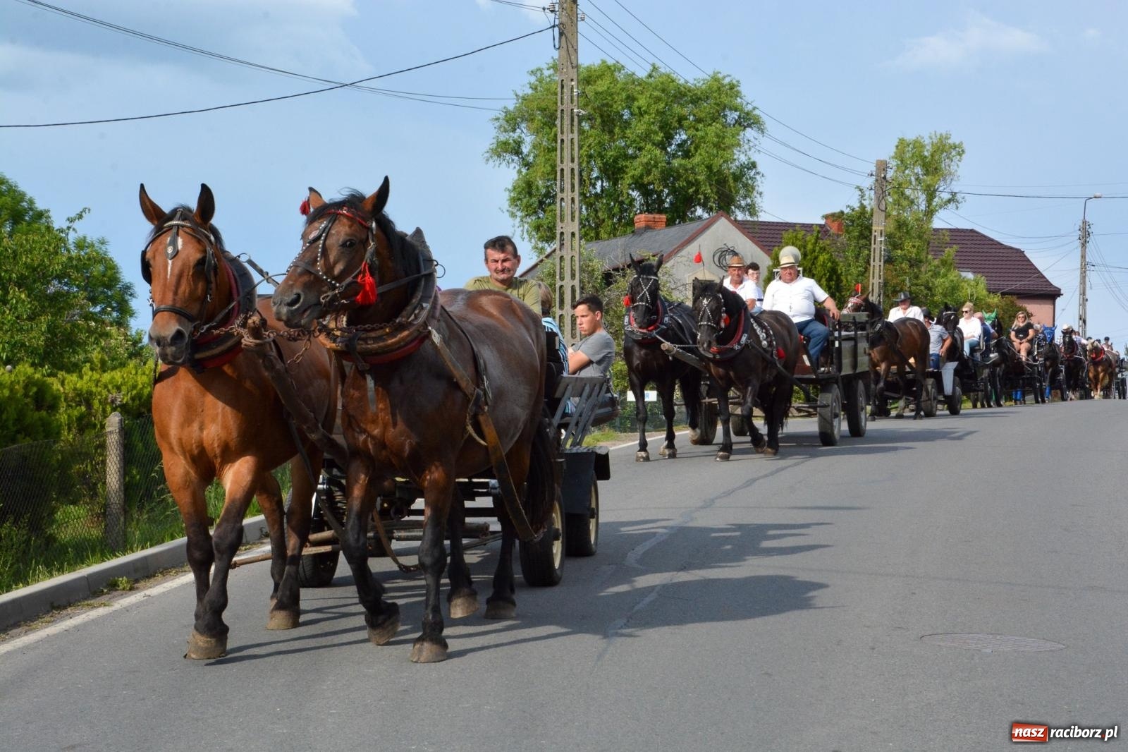 Zdjęcie w galerii na portalu naszraciborz.pl: Kobylskie błaganie i dziękczynienie na św. Urbana [FOTO i WIDEO] wiadomości z regionu
