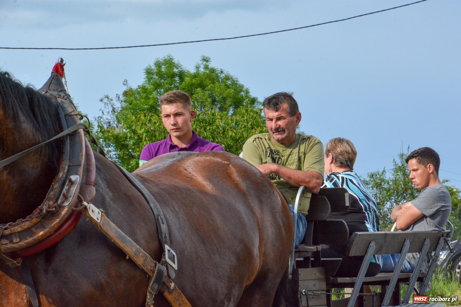 Zdjęcie w galerii na portalu naszraciborz.pl: Kobylskie błaganie i dziękczynienie na św. Urbana [FOTO i WIDEO] wiadomości z regionu