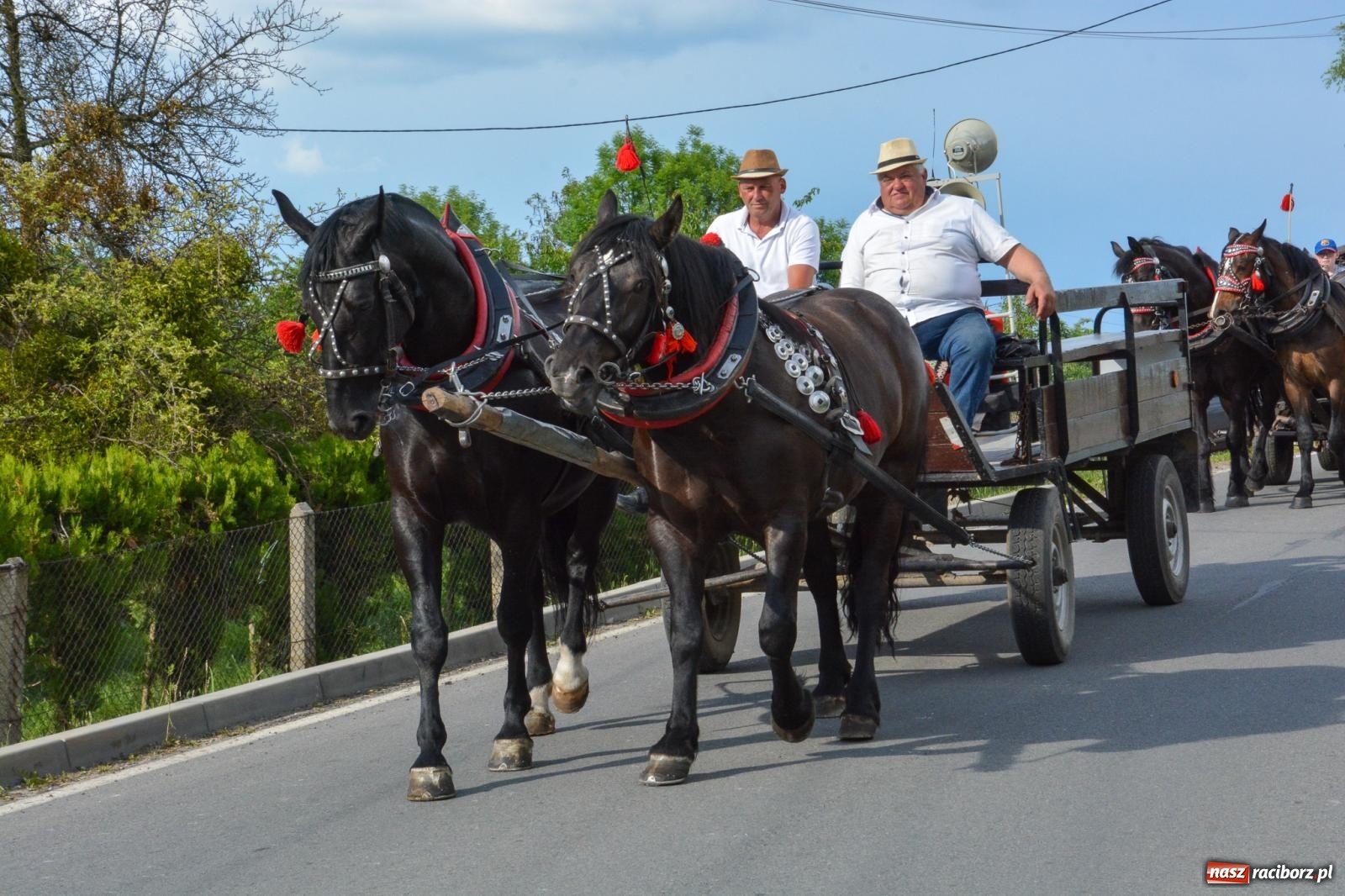 Zdjęcie w galerii na portalu naszraciborz.pl: Kobylskie błaganie i dziękczynienie na św. Urbana [FOTO i WIDEO] wiadomości z regionu
