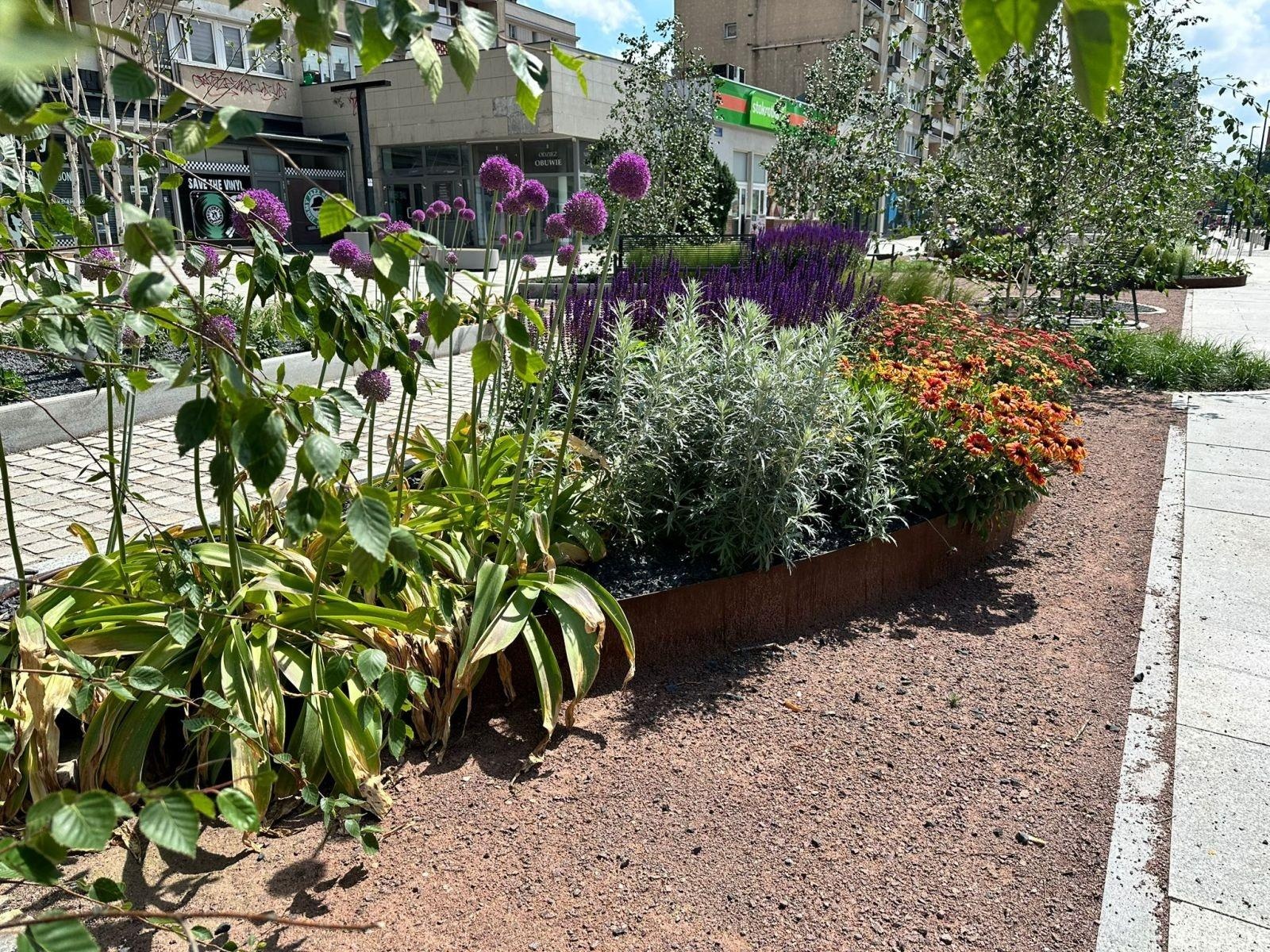 Zdjęcie w galerii na portalu naszraciborz.pl: Magdalena Wieczorek z CKZiU nr 1 Budowlanka – Gastronomik laureatką olimpiady wiadomości z regionu