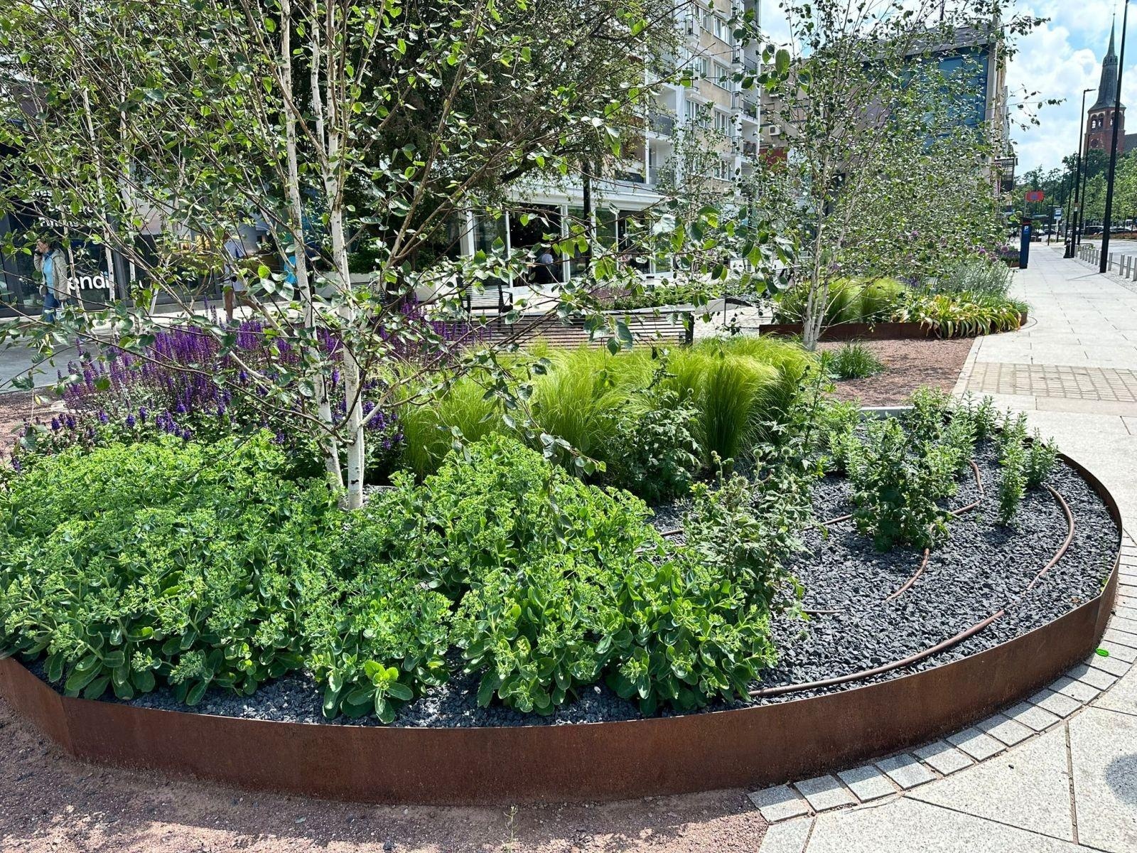 Zdjęcie w galerii na portalu naszraciborz.pl: Magdalena Wieczorek z CKZiU nr 1 Budowlanka – Gastronomik laureatką olimpiady wiadomości z regionu