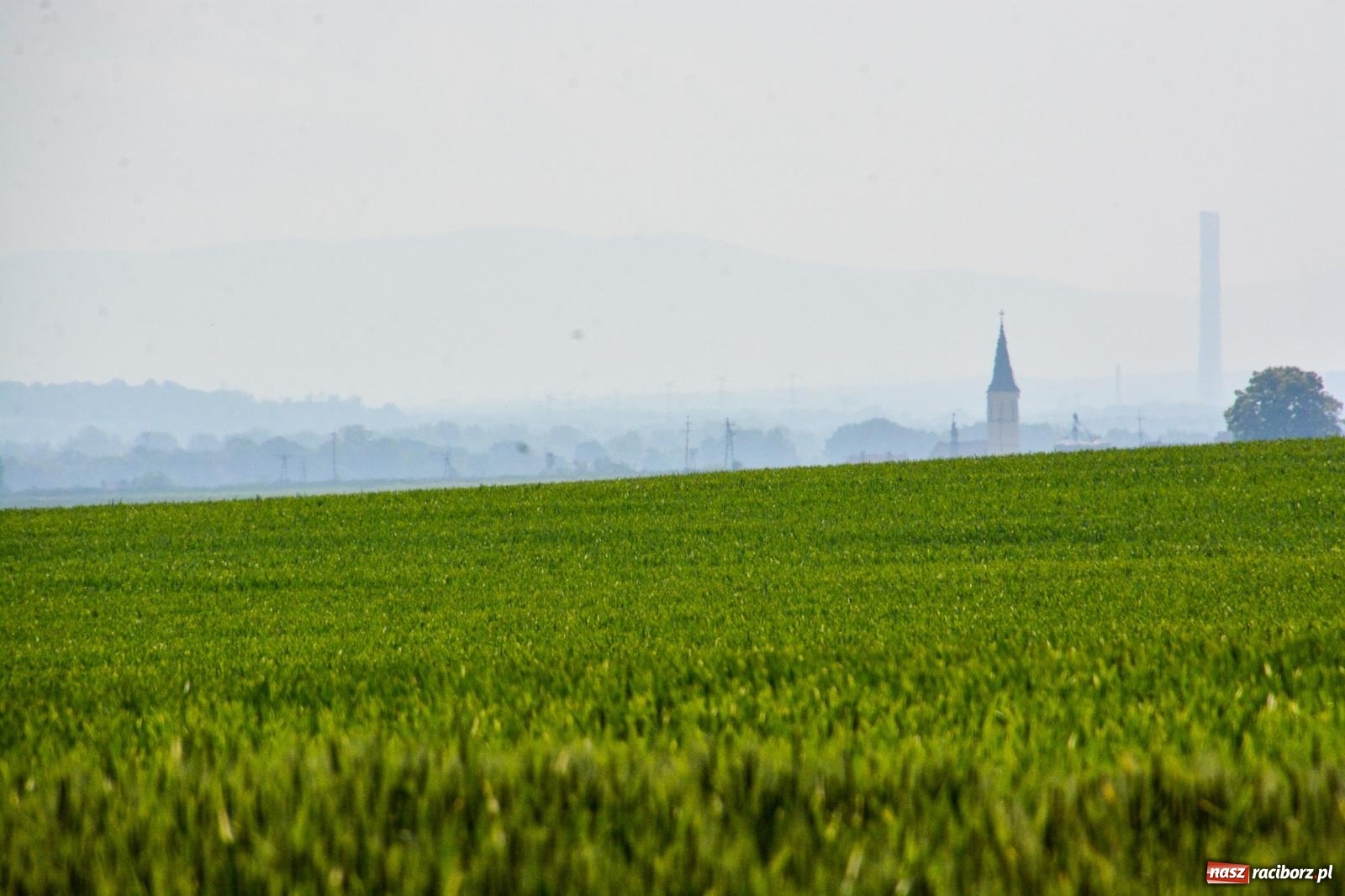 Zdjęcie w galerii na portalu naszraciborz.pl: Odpust na Urbanku w Tworkowie [FOTO i WIDEO] wiadomości z regionu