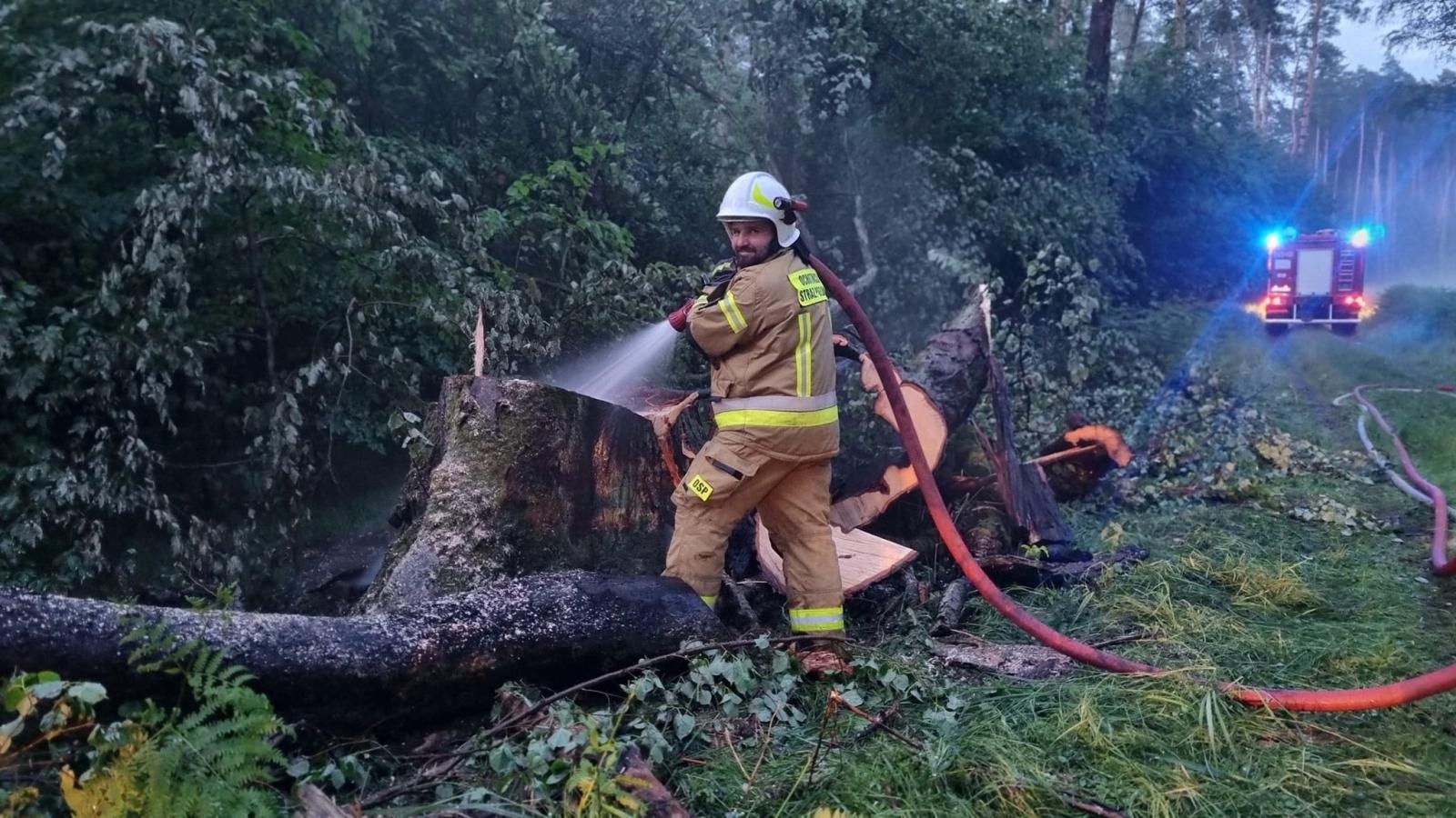 Zdjęcie w galerii na portalu naszraciborz.pl: Pożar w kuźniańskim lesie. W akcji strażacy i dromader wiadomości z regionu