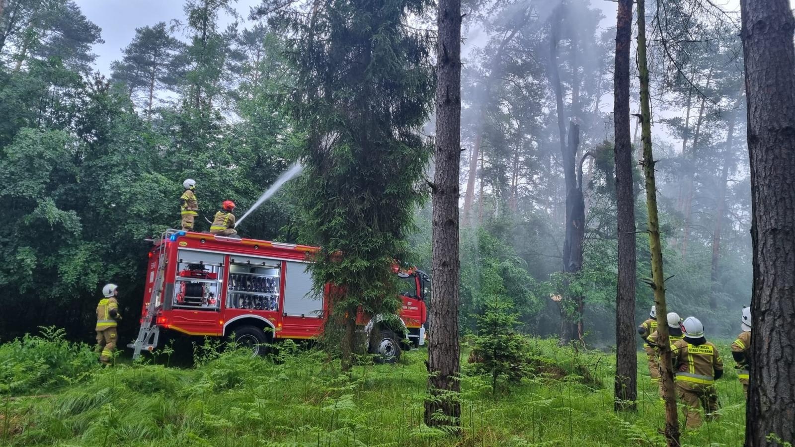 Zdjęcie w galerii na portalu naszraciborz.pl: Pożar w kuźniańskim lesie. W akcji strażacy i dromader wiadomości z regionu