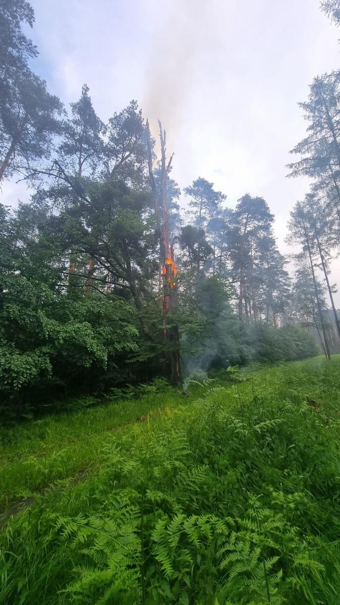 Zdjęcie w galerii na portalu naszraciborz.pl: Pożar w kuźniańskim lesie. W akcji strażacy i dromader wiadomości z regionu
