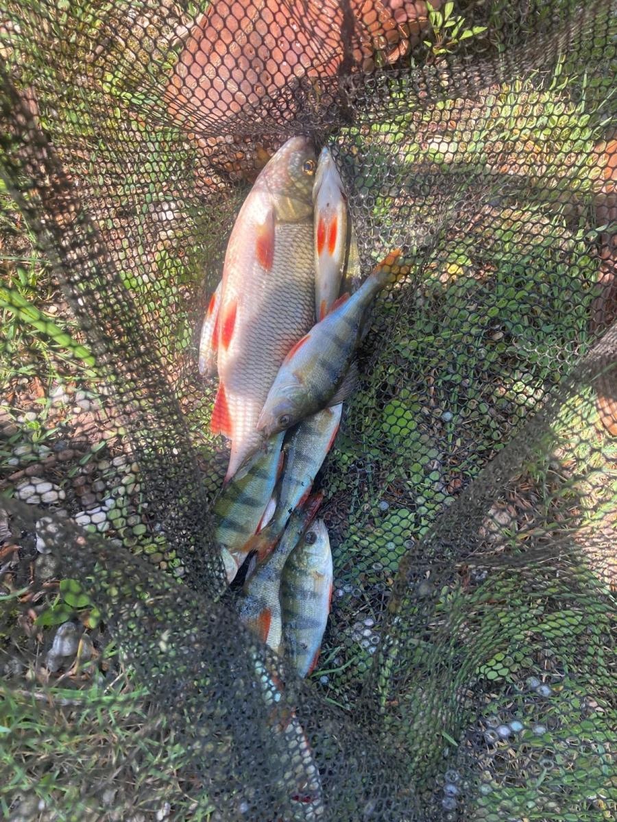 Zdjęcie w galerii na portalu naszraciborz.pl: Odra 2024. Wędkarze rywalizowali w Łęgu wiadomości z regionu