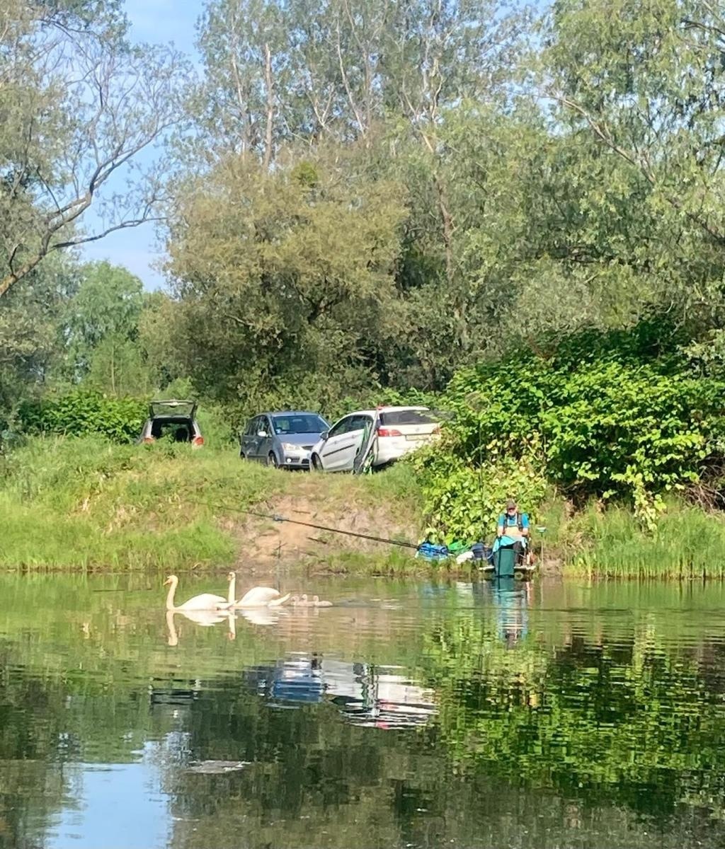 Zdjęcie w galerii na portalu naszraciborz.pl: Odra 2024. Wędkarze rywalizowali w Łęgu wiadomości z regionu
