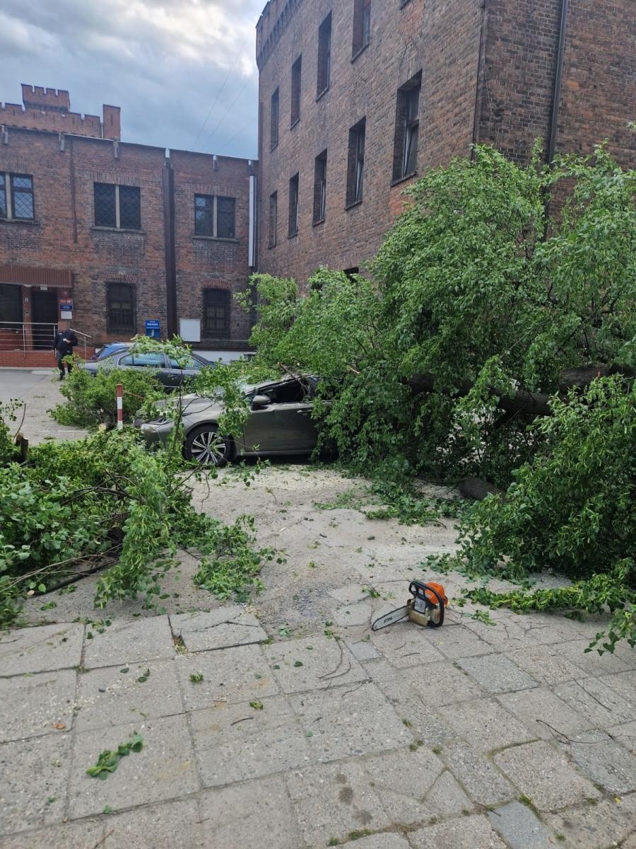 Zdjęcie w galerii na portalu naszraciborz.pl: Silny wiatr spowodował straty. Drzewo runęło na samochody przy raciborskim więzieniu [FOTO] wiadomości z regionu