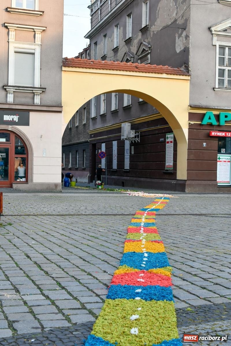 Zdjęcie w galerii na portalu naszraciborz.pl: Śródmieście, Ostróg i Płonia. Wierni od rana stroili ulice [FOTO i WIDEO] wiadomości z regionu