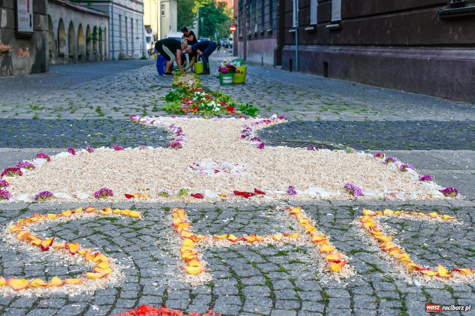 Zdjęcie w galerii na portalu naszraciborz.pl: Śródmieście, Ostróg i Płonia. Wierni od rana stroili ulice [FOTO i WIDEO] wiadomości z regionu