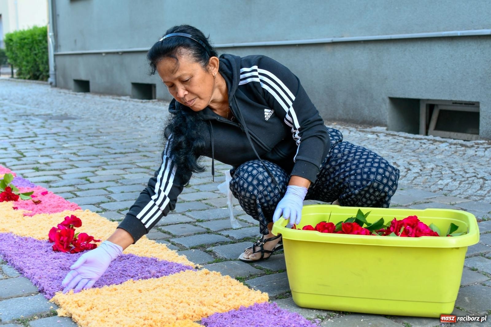 Zdjęcie w galerii na portalu naszraciborz.pl: Śródmieście, Ostróg i Płonia. Wierni od rana stroili ulice [FOTO i WIDEO] wiadomości z regionu