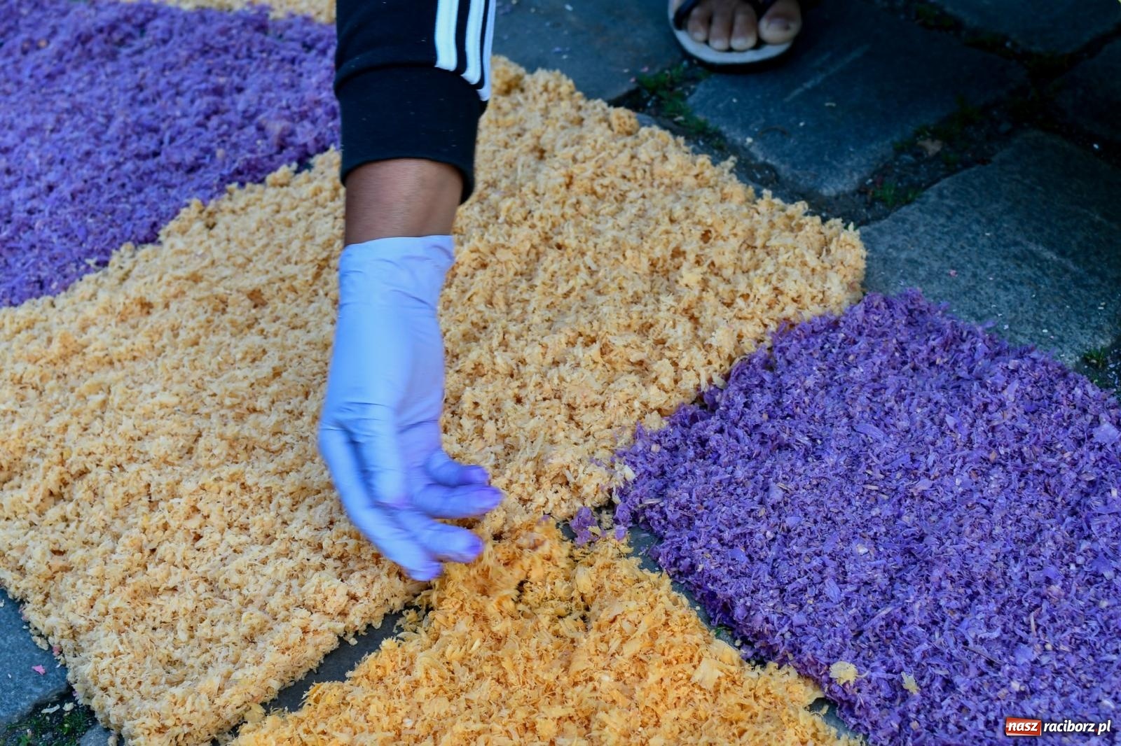 Zdjęcie w galerii na portalu naszraciborz.pl: Śródmieście, Ostróg i Płonia. Wierni od rana stroili ulice [FOTO i WIDEO] wiadomości z regionu