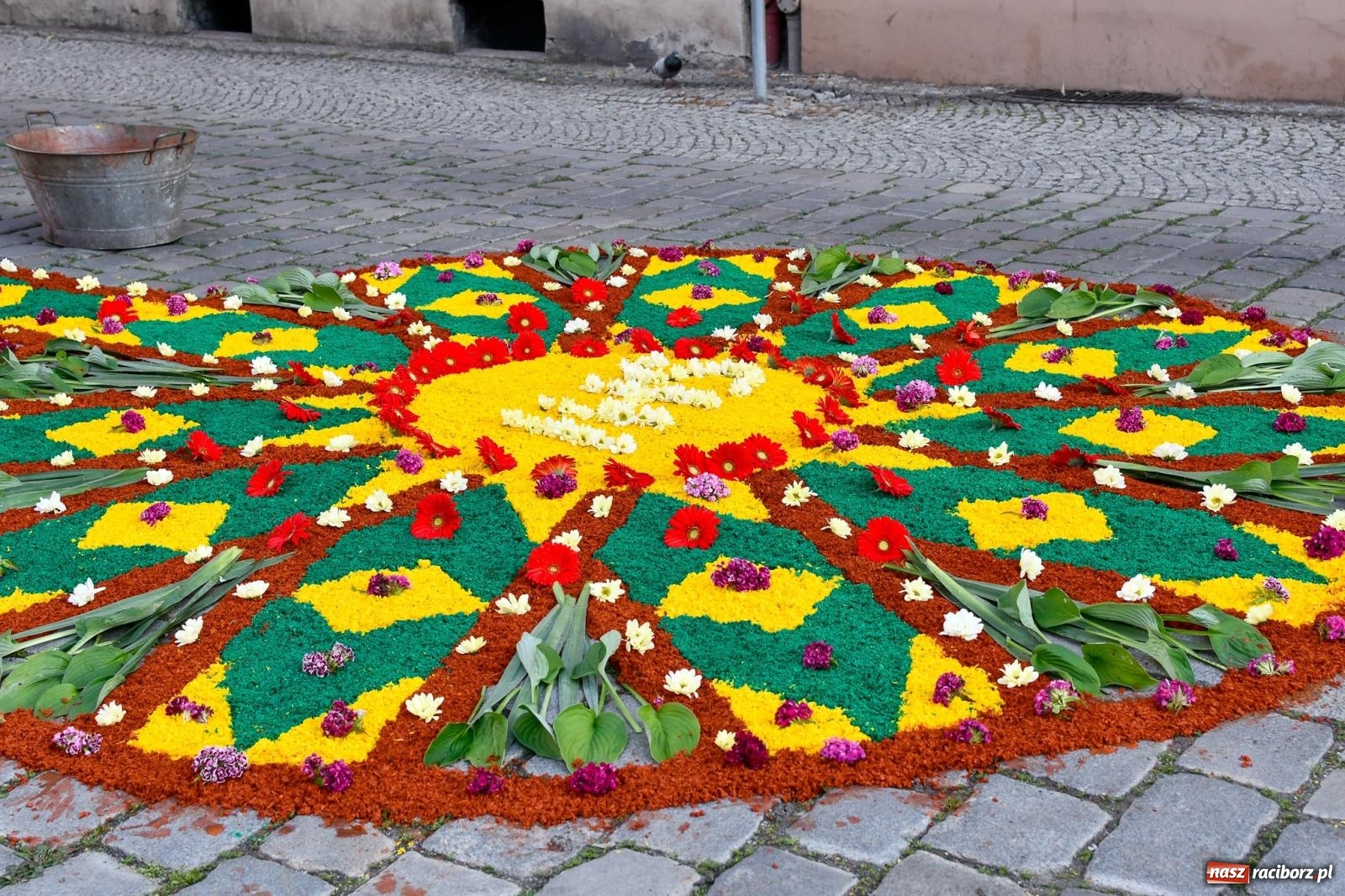 Zdjęcie w galerii na portalu naszraciborz.pl: Śródmieście, Ostróg i Płonia. Wierni od rana stroili ulice [FOTO i WIDEO] wiadomości z regionu