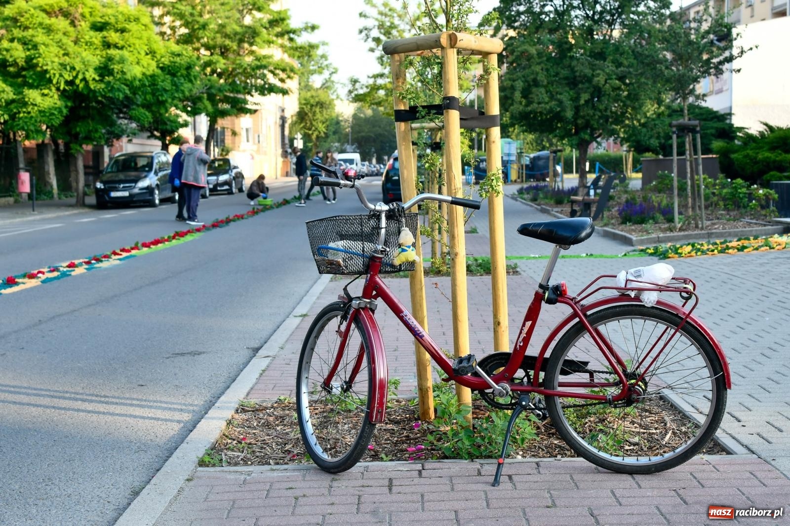 Zdjęcie w galerii na portalu naszraciborz.pl: Śródmieście, Ostróg i Płonia. Wierni od rana stroili ulice [FOTO i WIDEO] wiadomości z regionu