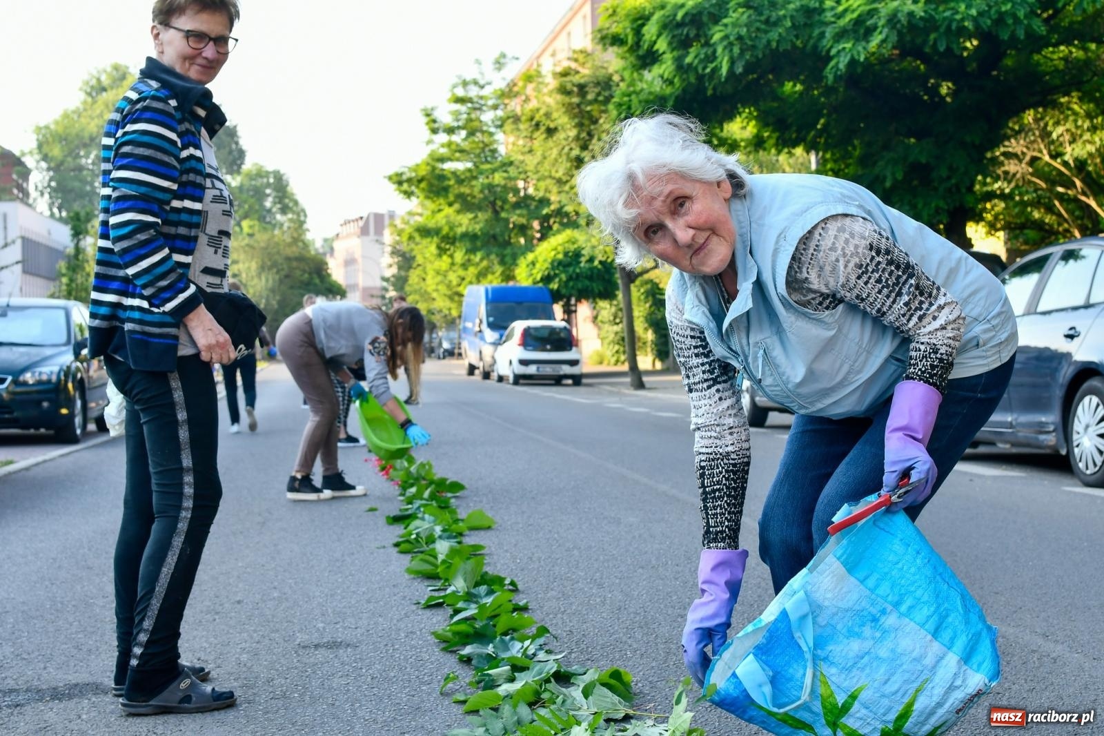 Zdjęcie w galerii na portalu naszraciborz.pl: Śródmieście, Ostróg i Płonia. Wierni od rana stroili ulice [FOTO i WIDEO] wiadomości z regionu
