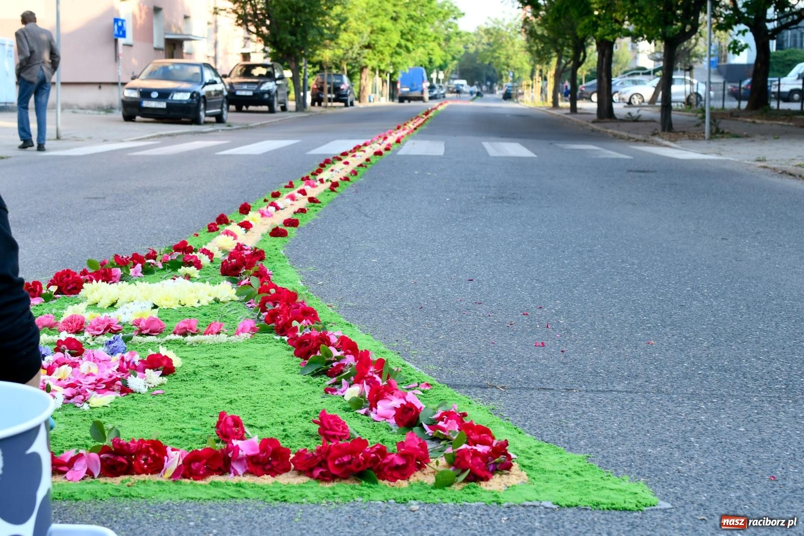 Zdjęcie w galerii na portalu naszraciborz.pl: Śródmieście, Ostróg i Płonia. Wierni od rana stroili ulice [FOTO i WIDEO] wiadomości z regionu