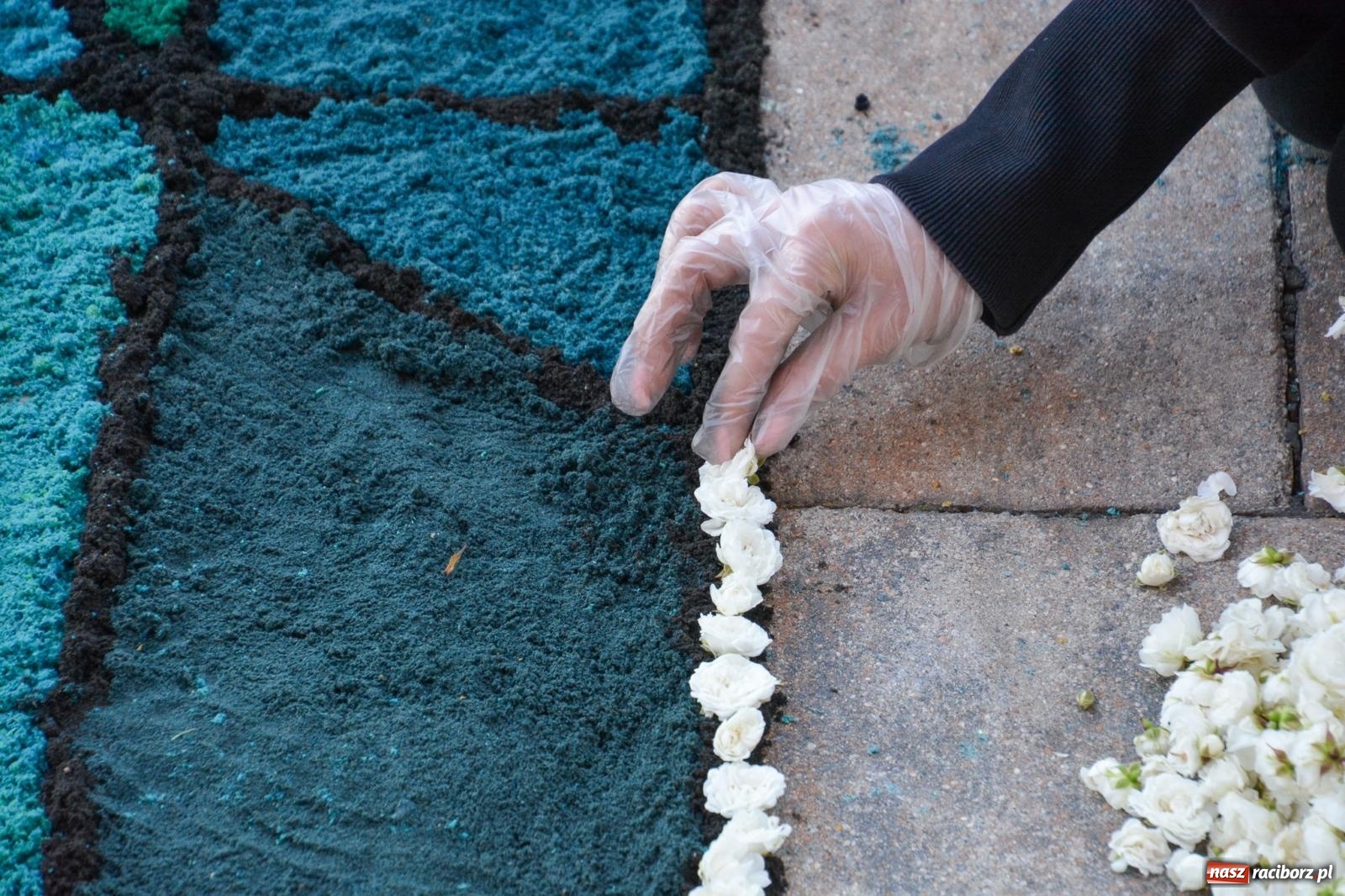 Zdjęcie w galerii na portalu naszraciborz.pl: W Brzeziu na Boże Ciało powstają prawdziwe dzieła sztuki [FOTO i WIDEO] wiadomości z regionu