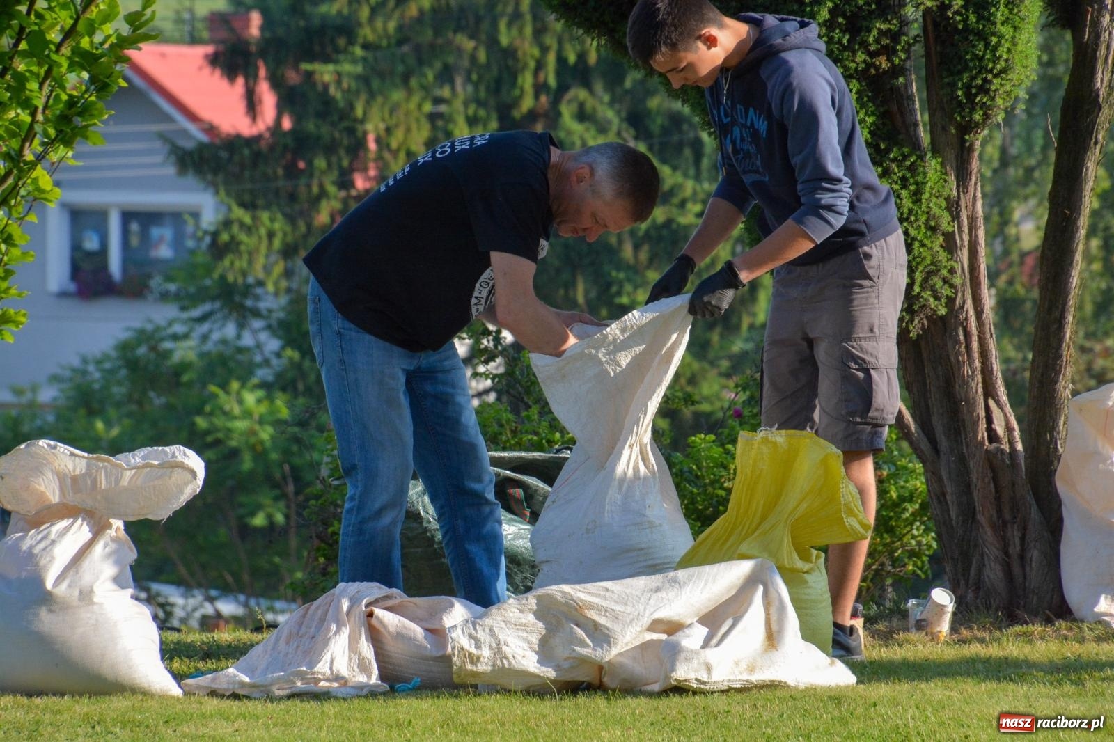 Zdjęcie w galerii na portalu naszraciborz.pl: W Brzeziu na Boże Ciało powstają prawdziwe dzieła sztuki [FOTO i WIDEO] wiadomości z regionu