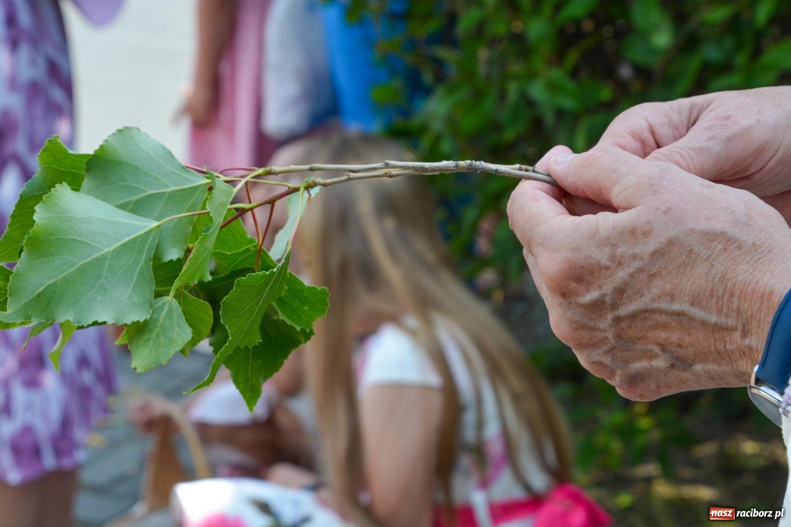 Zdjęcie w galerii na portalu naszraciborz.pl: Procesja Bożego Ciała na Ostrogu [FOTO i WIDEO] wiadomości z regionu