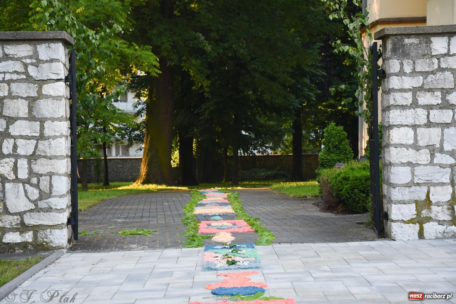 Zdjęcie w galerii na portalu naszraciborz.pl: To oni pięknie przystroili Nowe Zagrody i teren wokół kościoła Matki Bożej  wiadomości z regionu