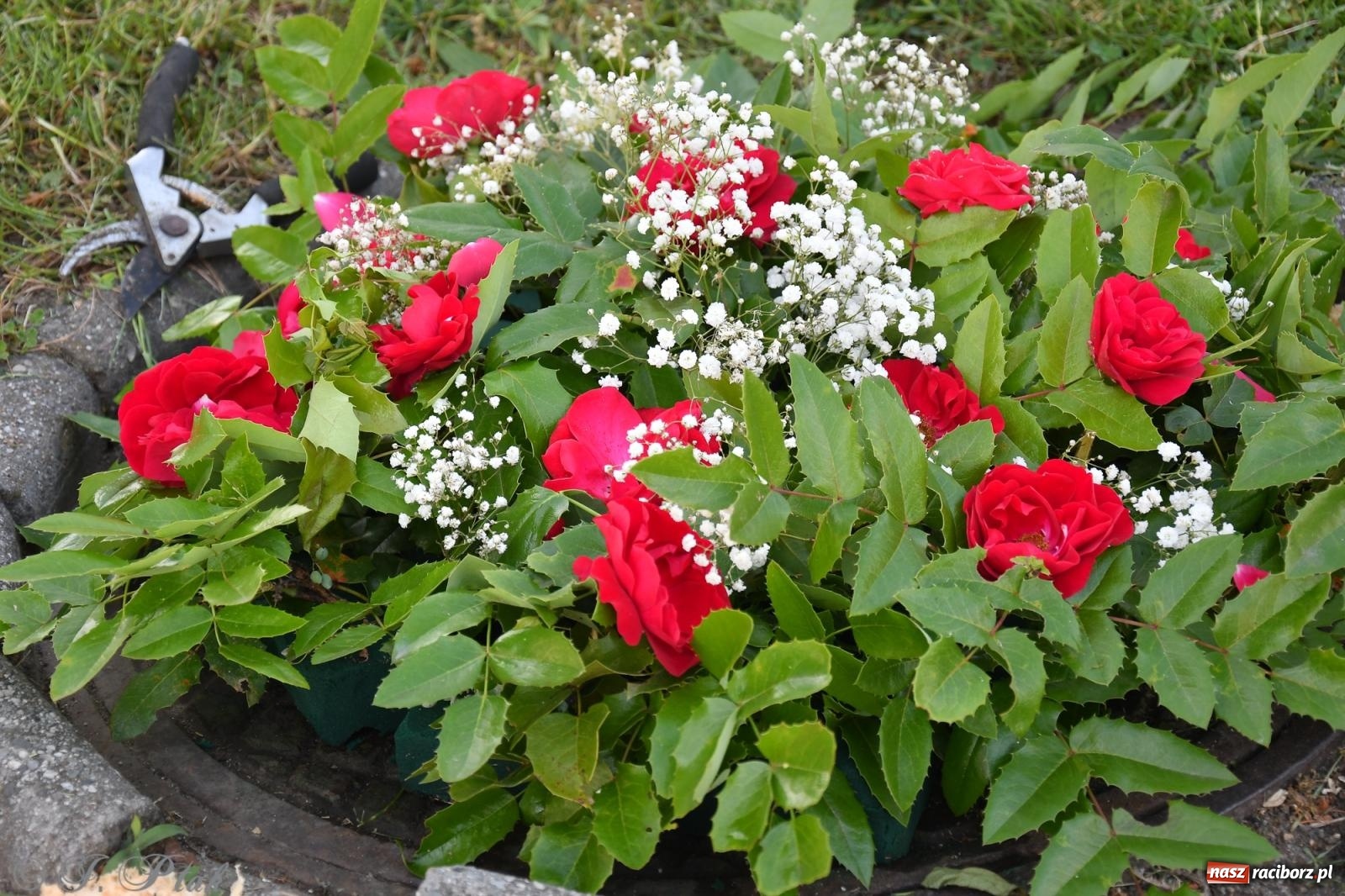 Zdjęcie w galerii na portalu naszraciborz.pl: To oni pięknie przystroili Nowe Zagrody i teren wokół kościoła Matki Bożej  wiadomości z regionu