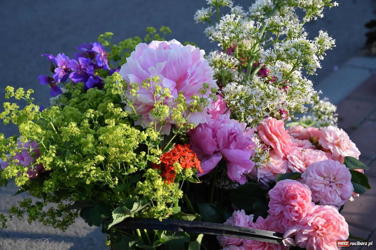 Zdjęcie w galerii na portalu naszraciborz.pl: To oni pięknie przystroili Nowe Zagrody i teren wokół kościoła Matki Bożej  wiadomości z regionu