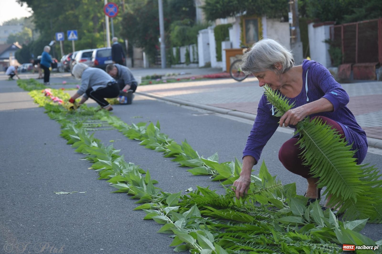 Zdjęcie w galerii na portalu naszraciborz.pl: To oni pięknie przystroili Nowe Zagrody i teren wokół kościoła Matki Bożej  wiadomości z regionu