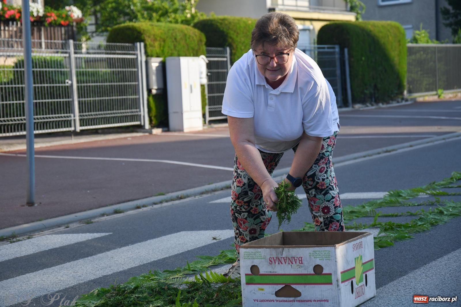 Zdjęcie w galerii na portalu naszraciborz.pl: To oni pięknie przystroili Nowe Zagrody i teren wokół kościoła Matki Bożej  wiadomości z regionu