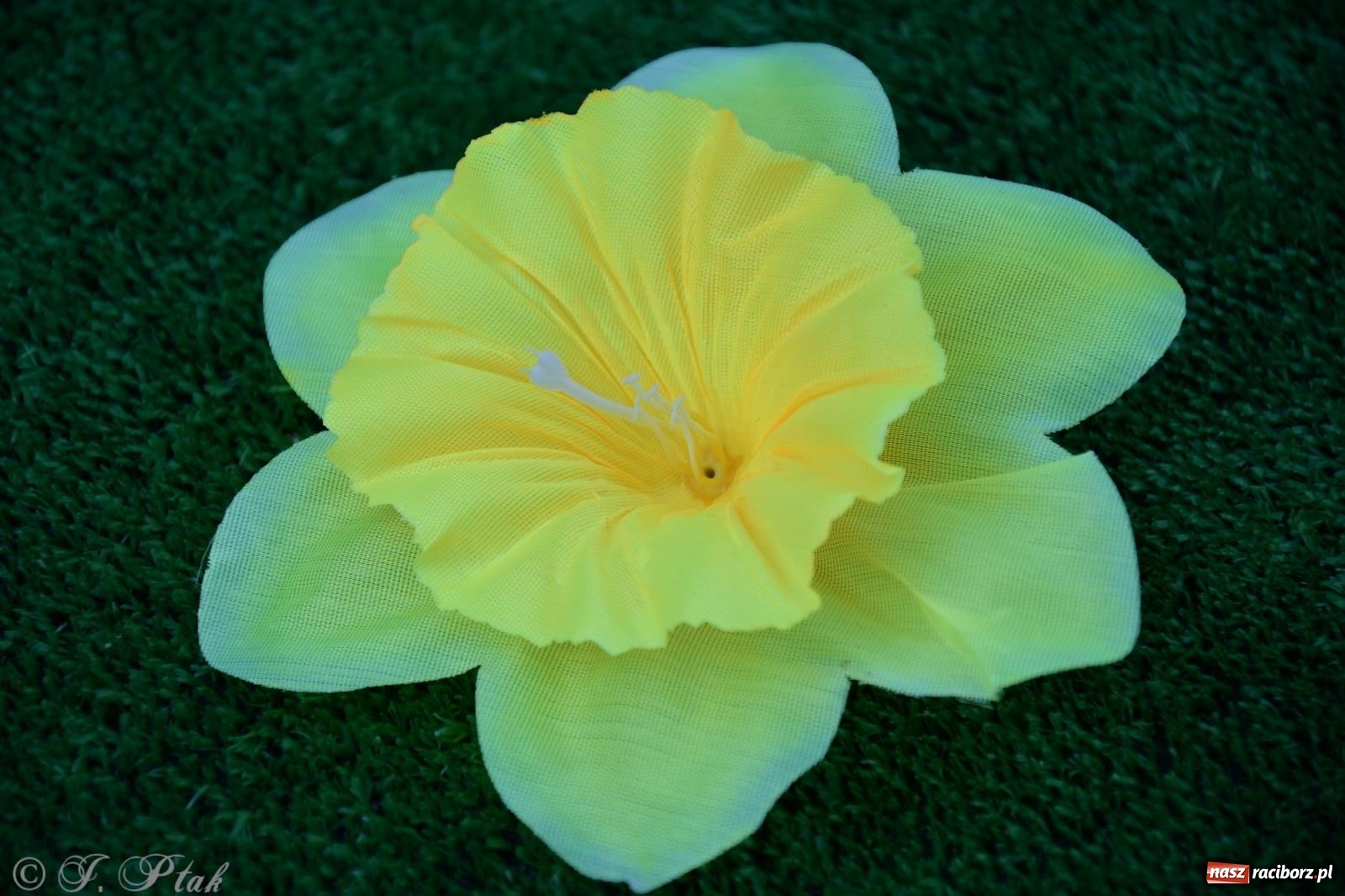 Zdjęcie w galerii na portalu naszraciborz.pl: To oni pięknie przystroili Nowe Zagrody i teren wokół kościoła Matki Bożej  wiadomości z regionu