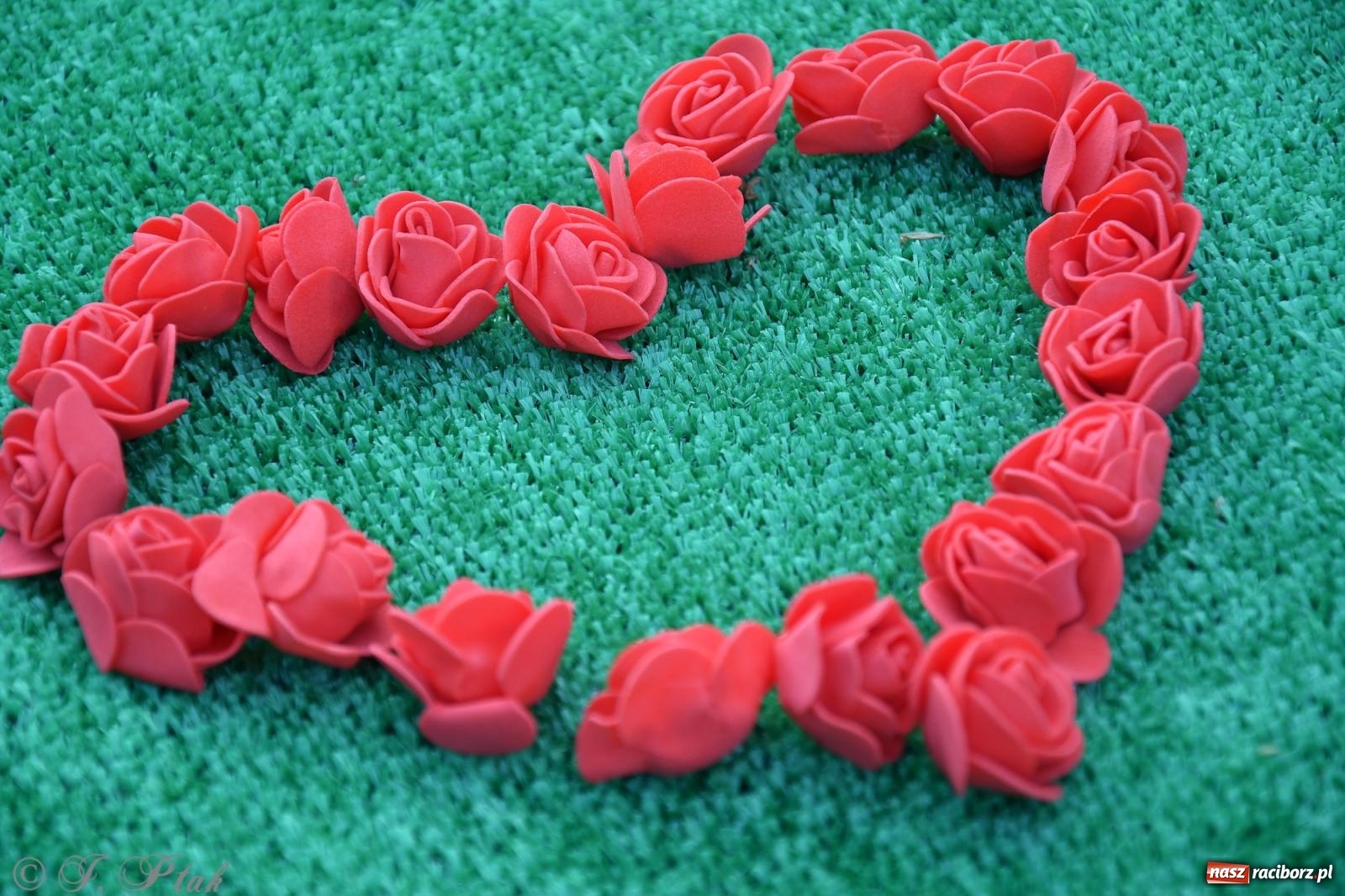 Zdjęcie w galerii na portalu naszraciborz.pl: To oni pięknie przystroili Nowe Zagrody i teren wokół kościoła Matki Bożej  wiadomości z regionu