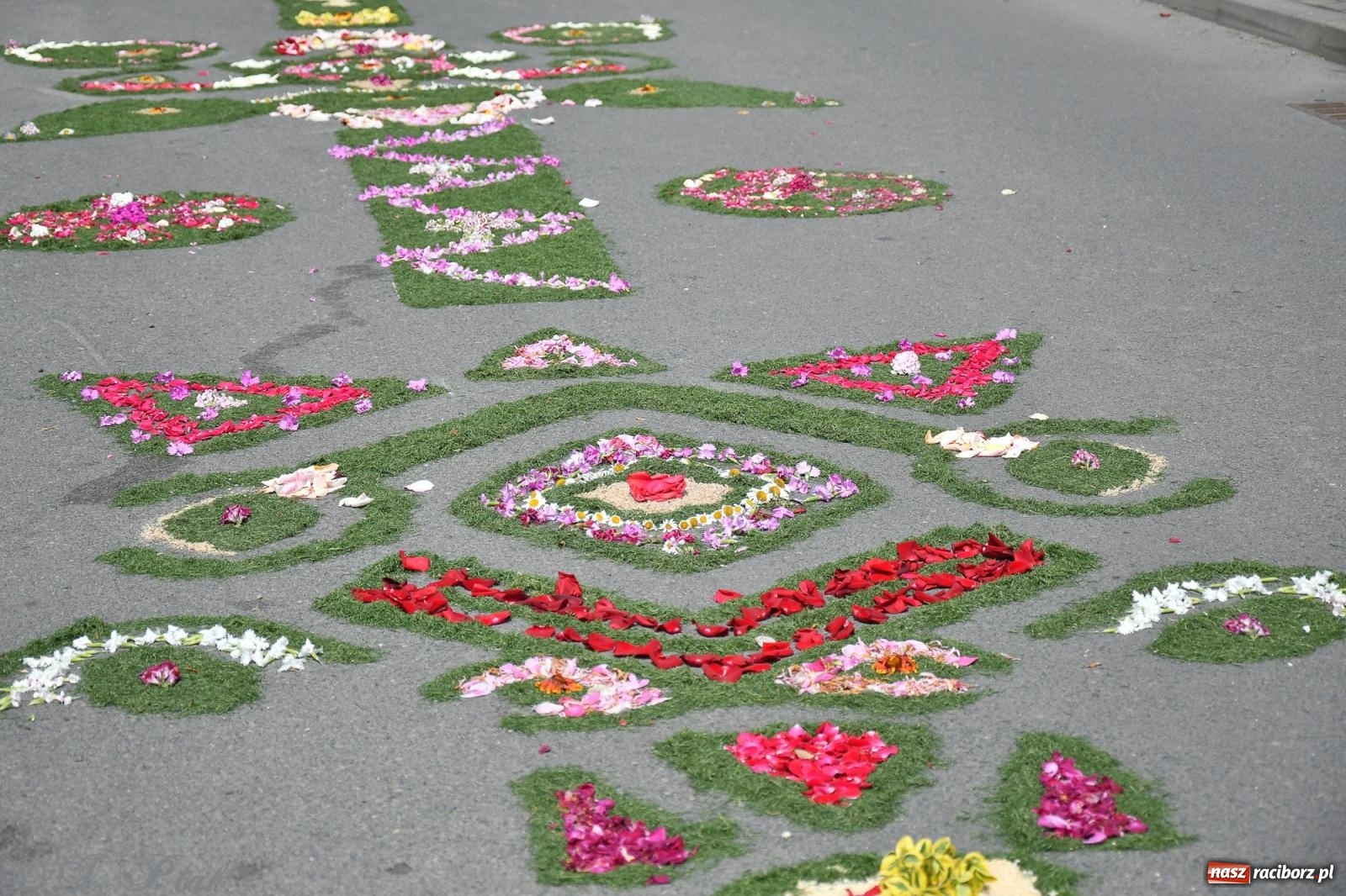 Zdjęcie w galerii na portalu naszraciborz.pl: Boże Ciało w największej raciborskiej parafii, na Nowych Zagrodach [FOTO i WIDEO] wiadomości z regionu