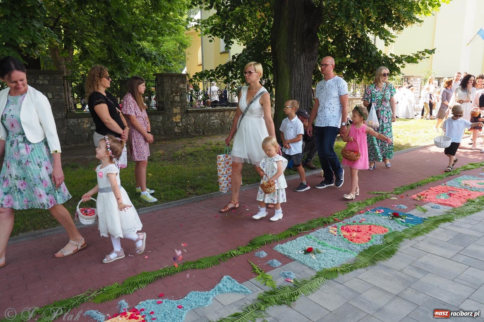Zdjęcie w galerii na portalu naszraciborz.pl: Z Maryją przez osiedla i łąki. Boże Ciało w parafii Matki Bożej [FOTO i WIDEO] wiadomości z regionu