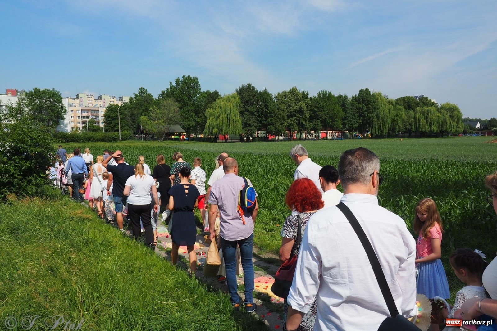 Zdjęcie w galerii na portalu naszraciborz.pl: Z Maryją przez osiedla i łąki. Boże Ciało w parafii Matki Bożej [FOTO i WIDEO] wiadomości z regionu