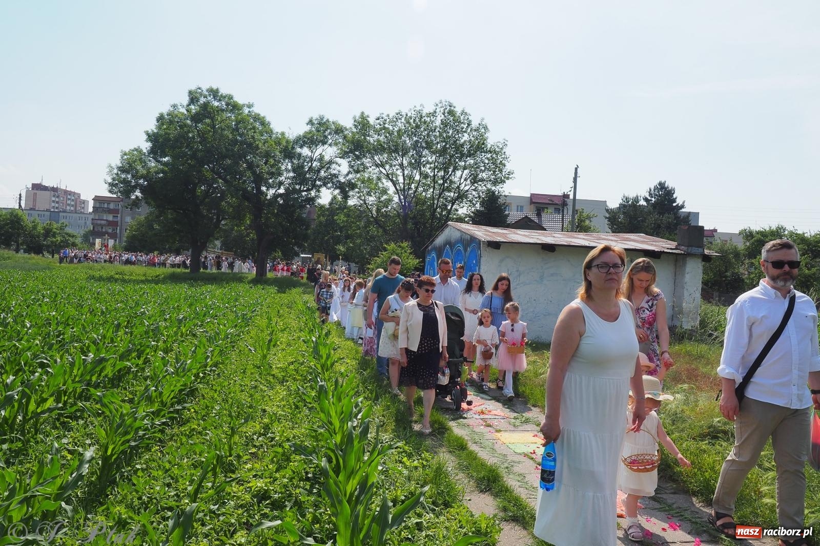Zdjęcie w galerii na portalu naszraciborz.pl: Z Maryją przez osiedla i łąki. Boże Ciało w parafii Matki Bożej [FOTO i WIDEO] wiadomości z regionu