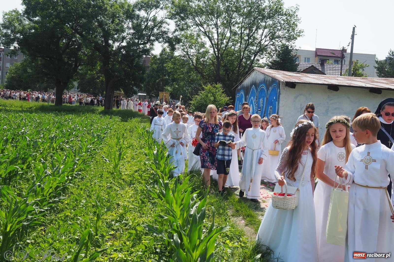 Zdjęcie w galerii na portalu naszraciborz.pl: Z Maryją przez osiedla i łąki. Boże Ciało w parafii Matki Bożej [FOTO i WIDEO] wiadomości z regionu