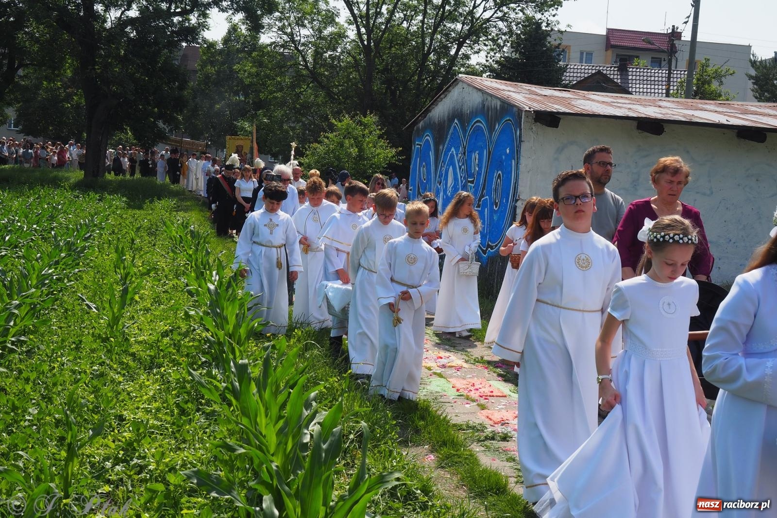 Zdjęcie w galerii na portalu naszraciborz.pl: Z Maryją przez osiedla i łąki. Boże Ciało w parafii Matki Bożej [FOTO i WIDEO] wiadomości z regionu