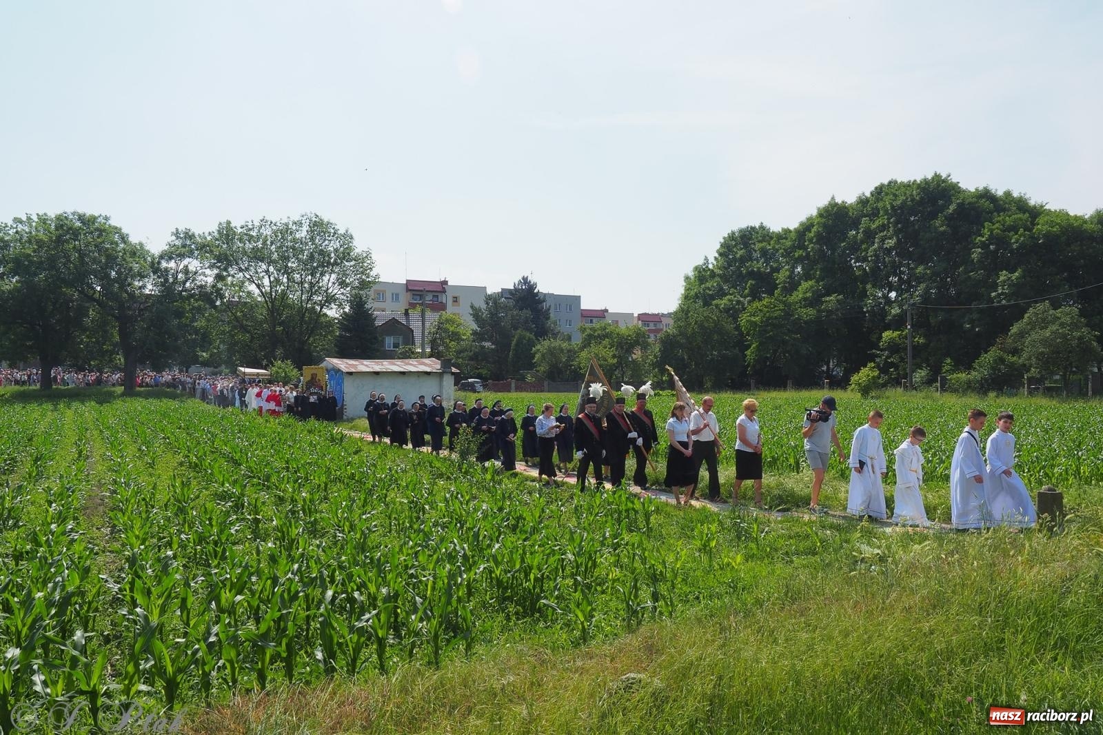Zdjęcie w galerii na portalu naszraciborz.pl: Z Maryją przez osiedla i łąki. Boże Ciało w parafii Matki Bożej [FOTO i WIDEO] wiadomości z regionu